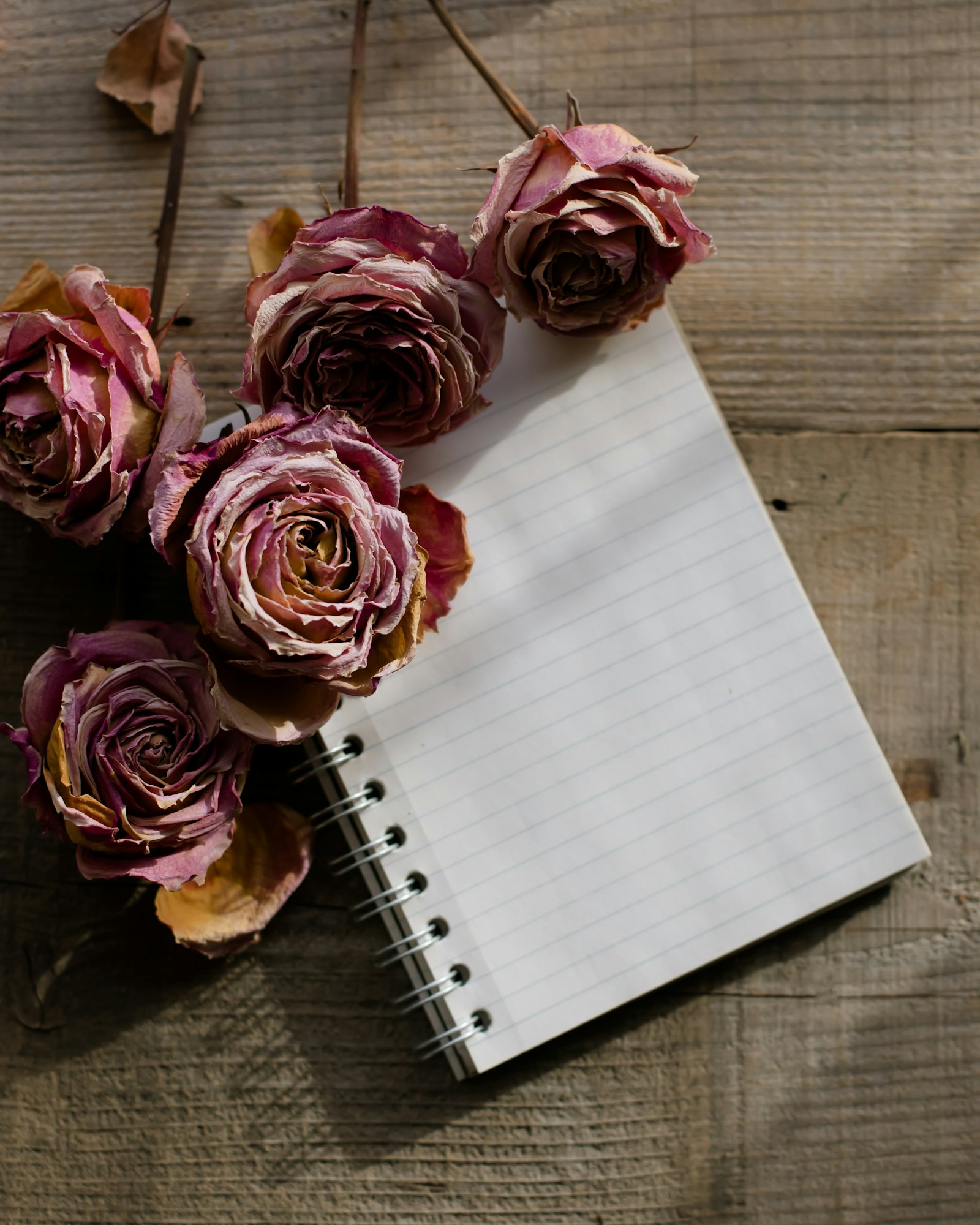 Open journal with dried roses, intentional space